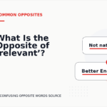 What Is the Opposite of ‘relevant’?