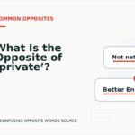 What Is the Opposite of ‘private’?